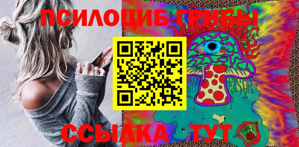 Псилоцибиновые грибы Psilocybine cubensis Сухой Лог