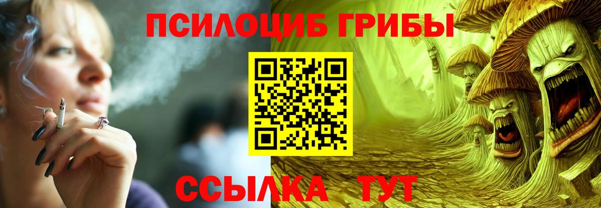 Псилоцибиновые грибы Psilocybine cubensis  Вход с VPN  Сухой Лог 